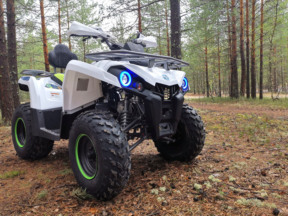 Квадроцикл PROMAX RENEGADE 280 (2025) в Балашихе