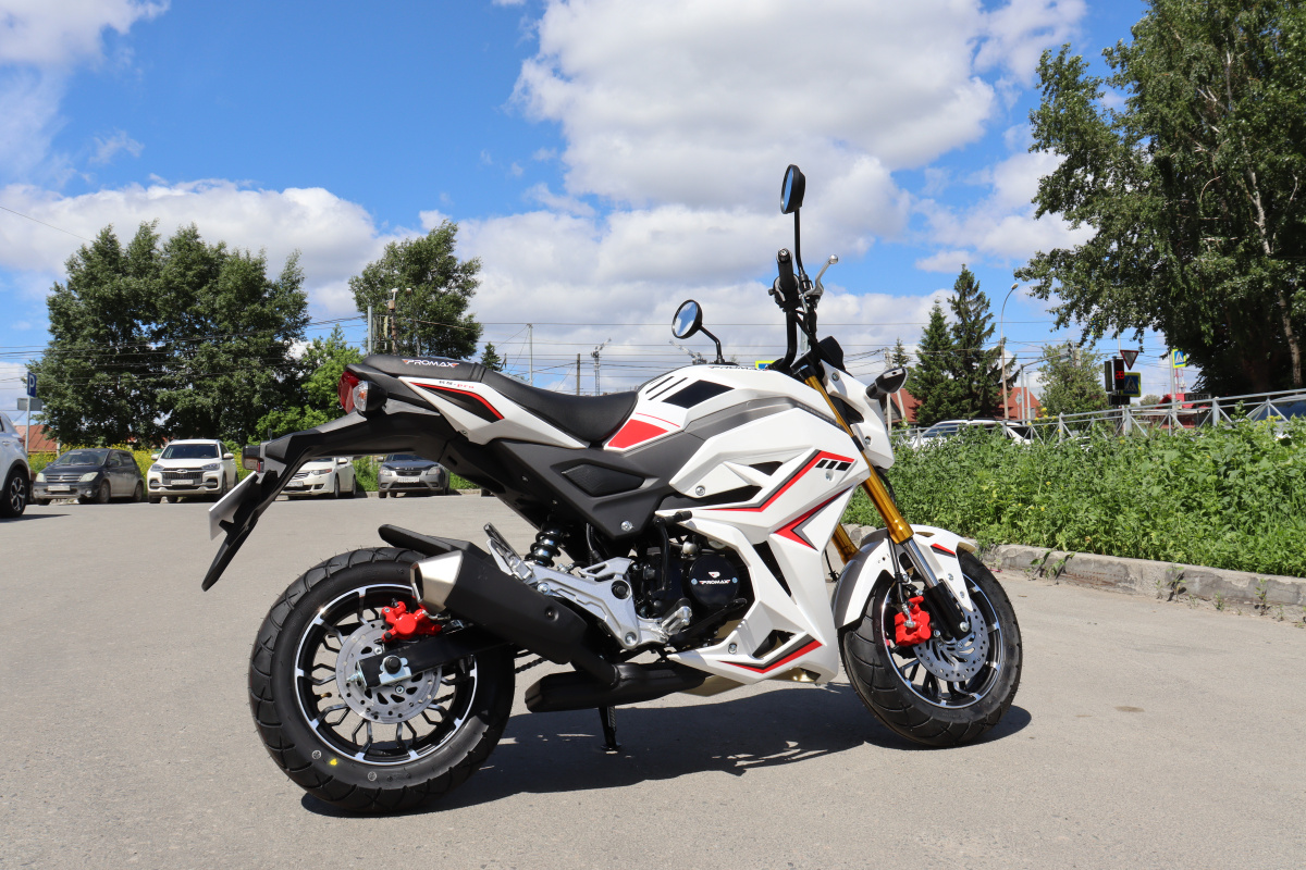 Мотоцикл PROMAX STRYKER 200(49) 2.0 в Балашихе