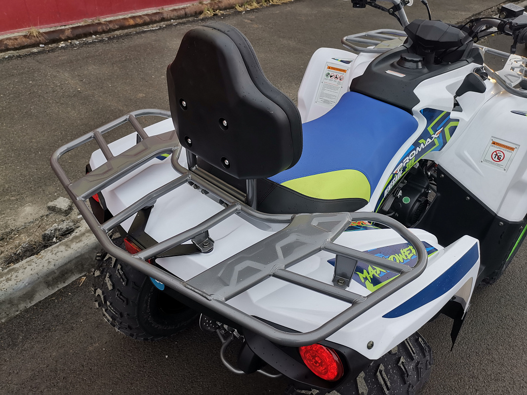 Квадроцикл PROMAX RENEGADE 280 LUX (2025) в Балашихе