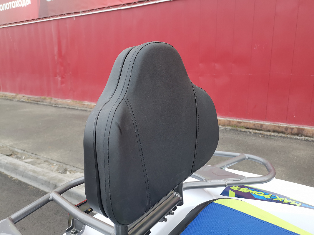 Квадроцикл PROMAX RENEGADE 280 LUX (2025) в Балашихе