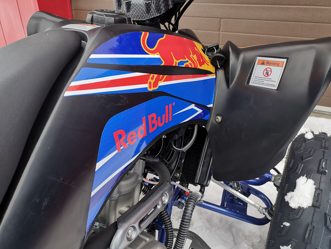 Квадроцикл PROMAX RAPTOR 300 NEW RedBull в Балашихе