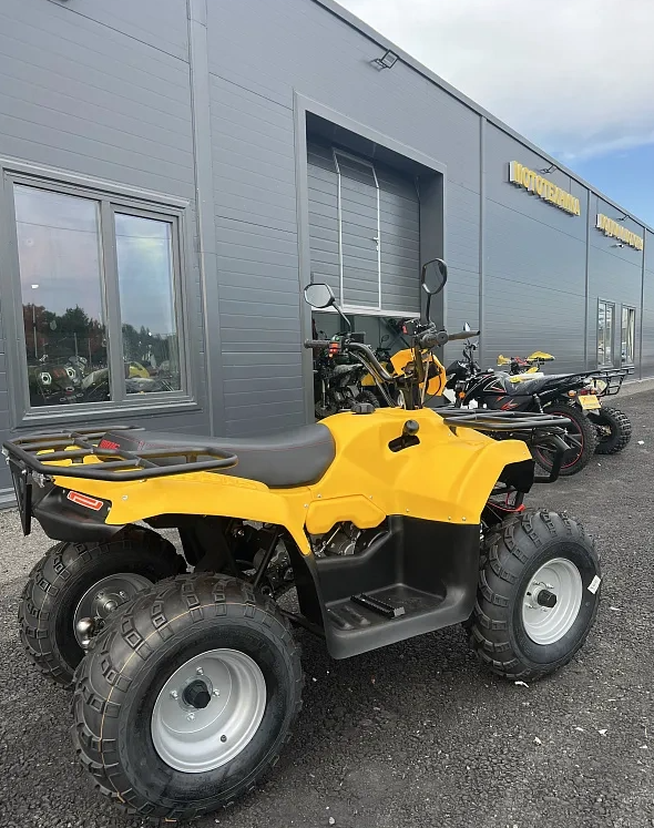 КВАДРОЦИКЛ IRBIS ATV 250  в Балашихе