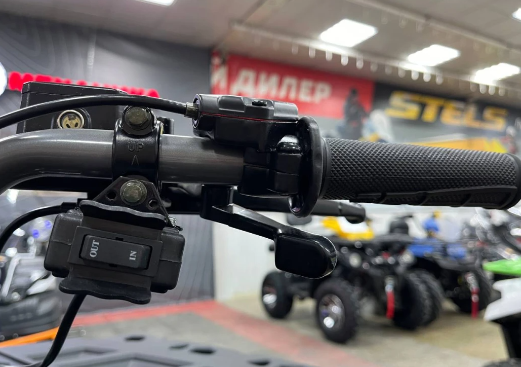 Квадроцикл PROMAX RENEGADE 300 LONG WINCH PRO (2025) в Балашихе