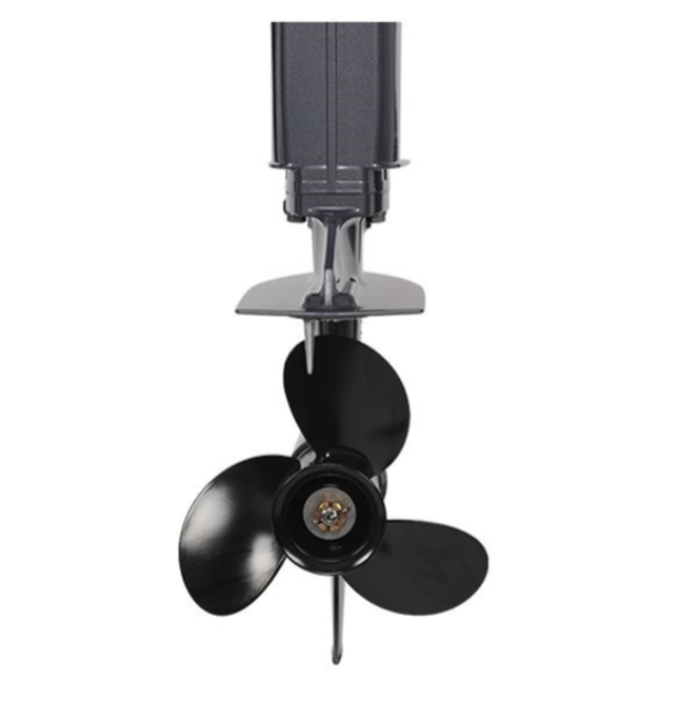 Лодочный мотор ALLFA CG Т40FW S в Балашихе