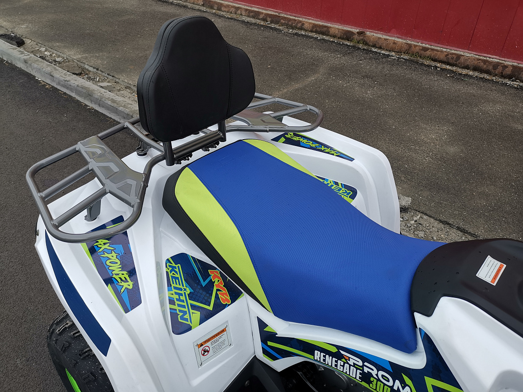 Квадроцикл PROMAX RENEGADE 280 LUX (2025) в Балашихе