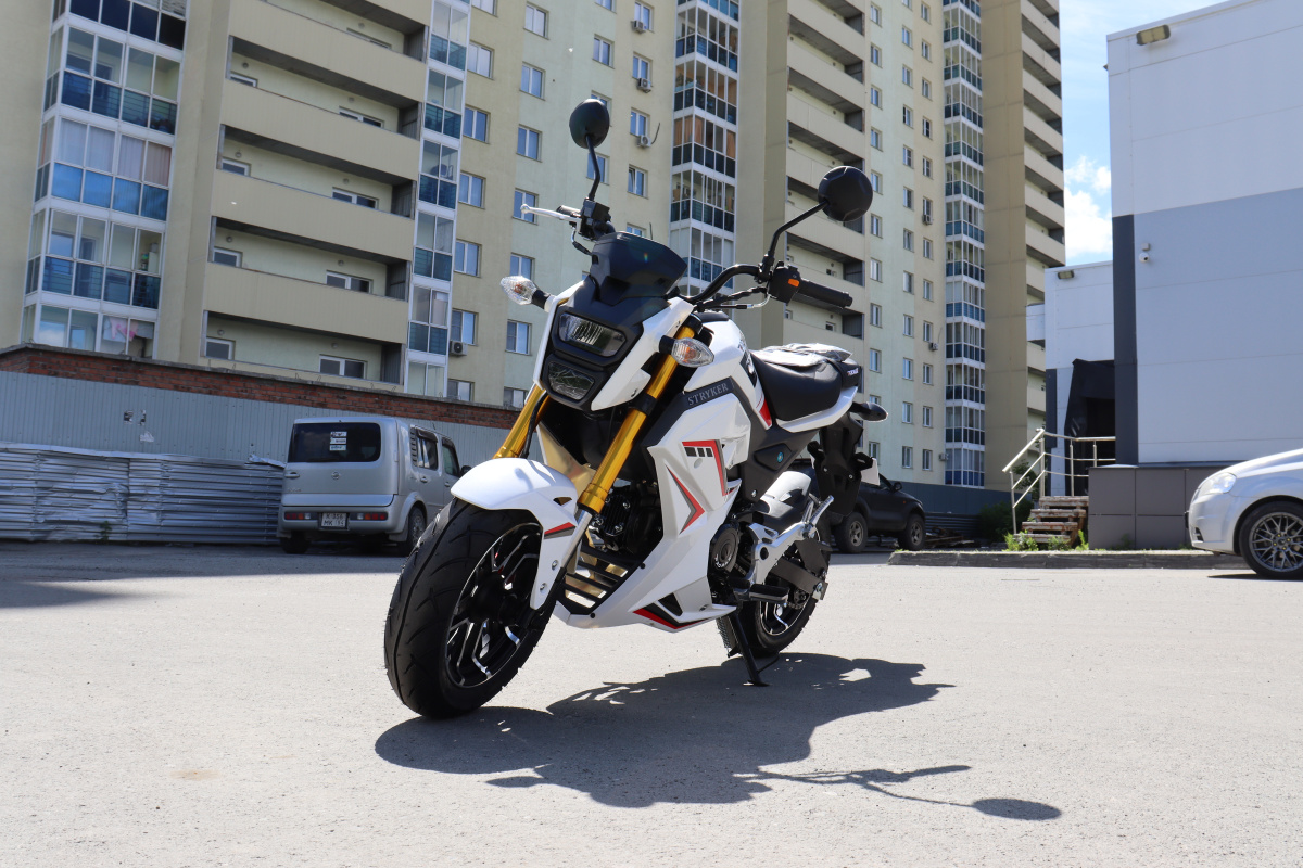 Мотоцикл PROMAX STRYKER 200(49) 2.0 в Балашихе