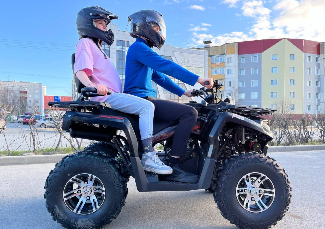 Квадроцикл PROMAX RENEGADE 300 LONG WINCH PRO (2025) в Балашихе