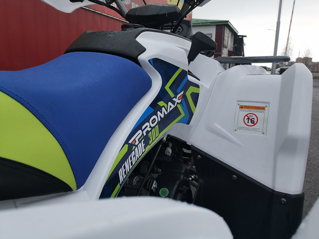 Квадроцикл PROMAX RENEGADE 280 LUX (2025) в Балашихе