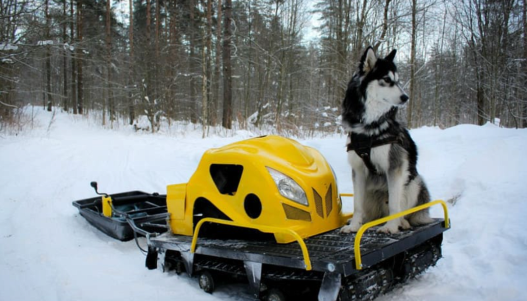 Мотобуксировщик LEBEDEV MOTORS ВОЛКОДАВ POWER V13 в Балашихе
