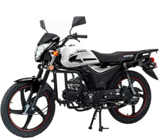 Мопед MOTOLAND (МОТОЛЕНД) Альфа RS 11 (LM48-B) в Балашихе