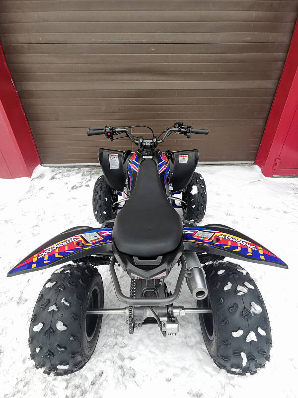 Квадроцикл PROMAX RAPTOR 300 NEW RedBull в Балашихе