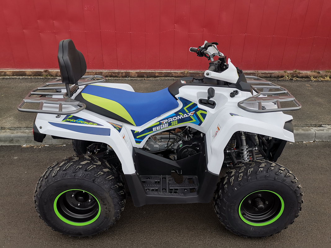 Квадроцикл PROMAX RENEGADE 280 LUX (2025) в Балашихе