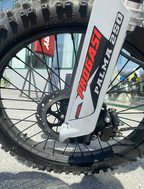 Мотоцикл Progasi PALMA 300 NEW (CB300F) в Балашихе