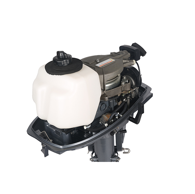 ЛОДОЧНЫЙ МОТОР ALLFA CG T5 в Балашихе