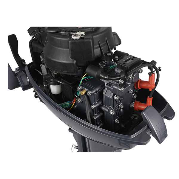 ЛОДОЧНЫЙ МОТОР ALLFA CG Т9,9 Limit в Балашихе