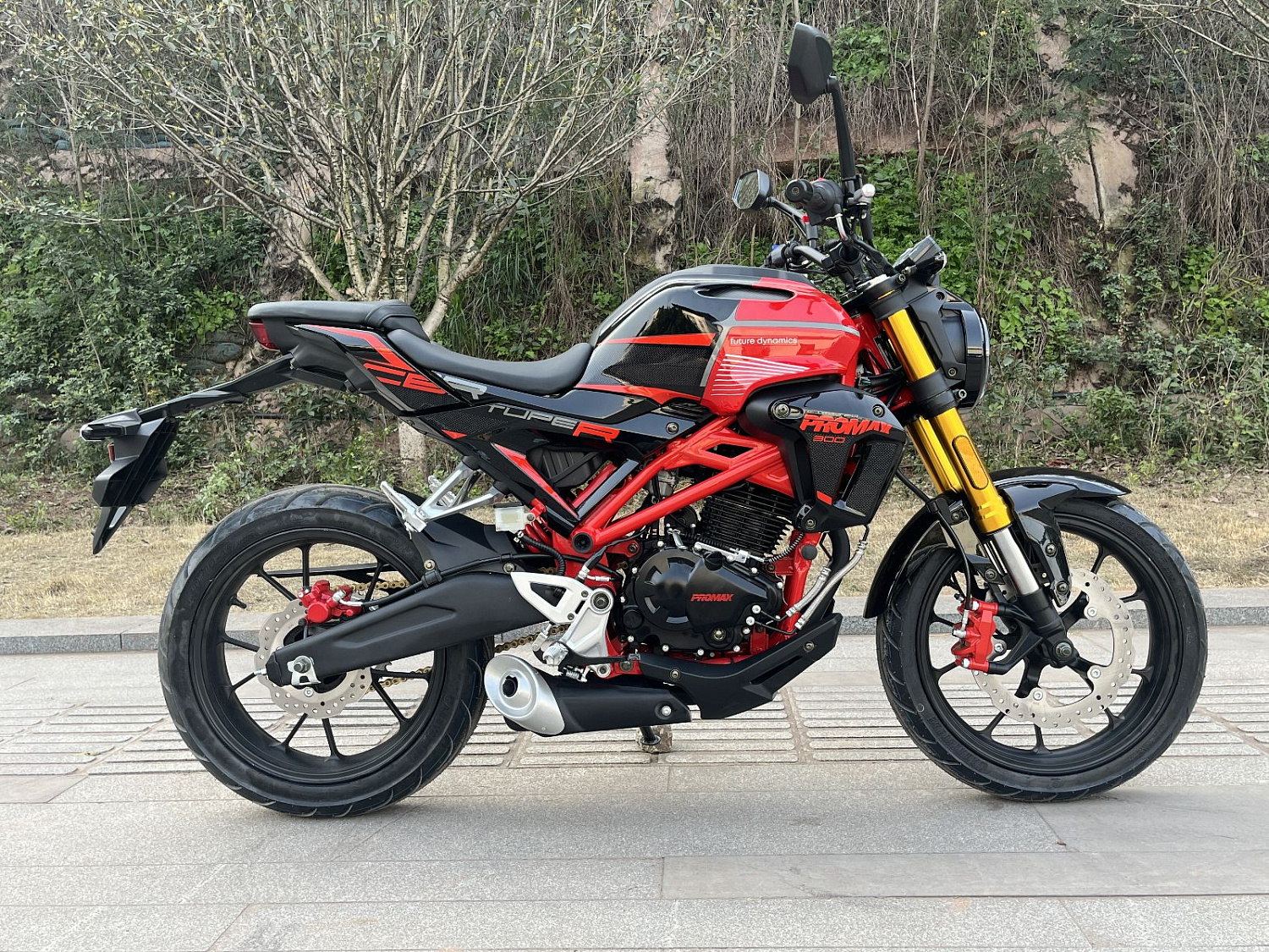 Мотоцикл PROMAX CB300RL (4V, 6G) в Балашихе