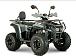 Квадроцикл YACOTA DRAGON LUX LD 150 PRO-SPORT в Балашихе