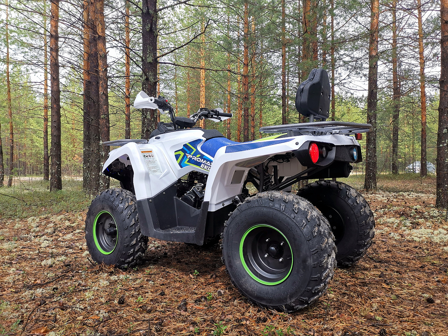 Квадроцикл PROMAX RENEGADE 280 (2025) в Балашихе