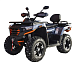 Квадроцикл MOTOLAND (МОТОЛЕНД) 300 MAX X в Балашихе
