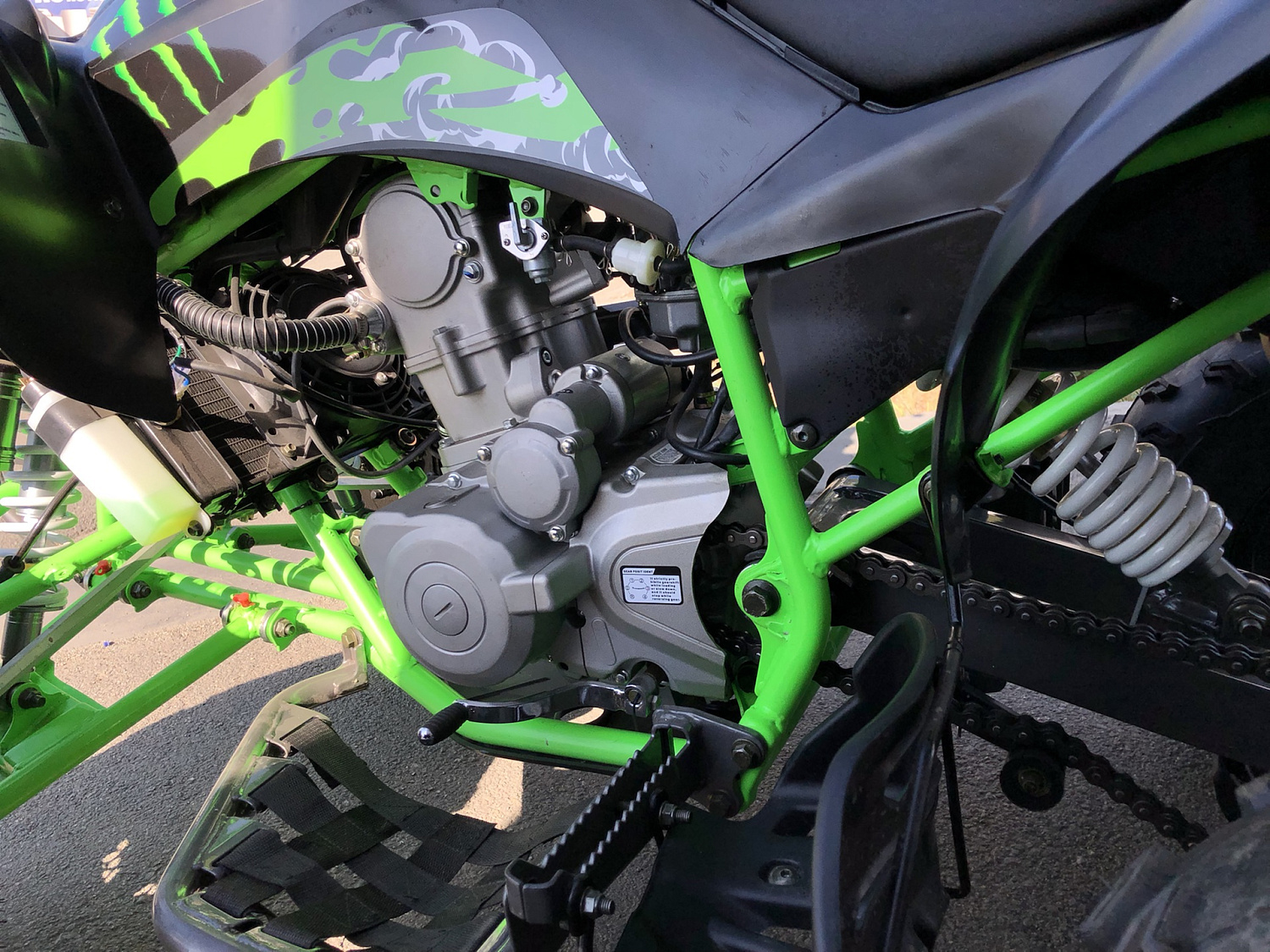 Квадроцикл PROMAX RAPTOR 300 NEW Monster в Балашихе