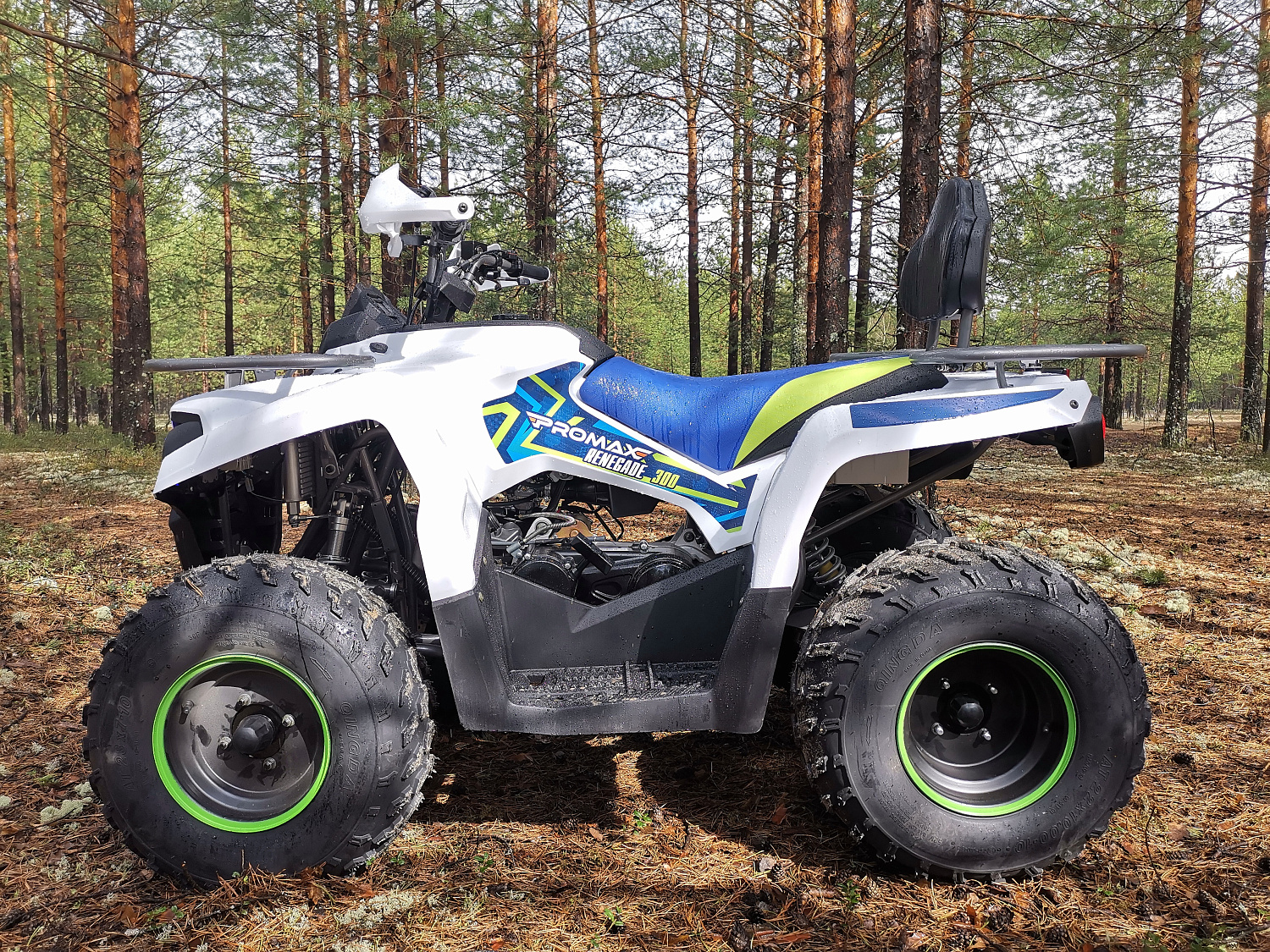 Квадроцикл PROMAX RENEGADE 280 (2025) в Балашихе