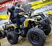 Квадроцикл PROMAX ATV 250 (2025) в Балашихе