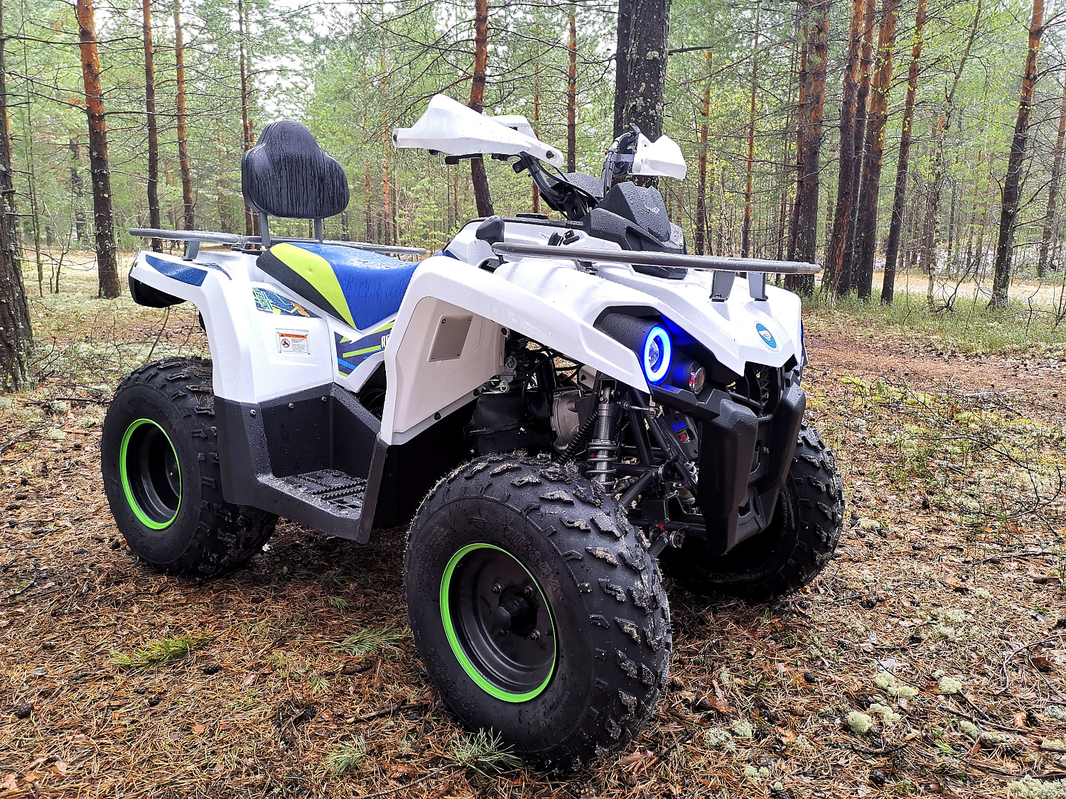 Квадроцикл PROMAX RENEGADE 280 (2025) в Балашихе