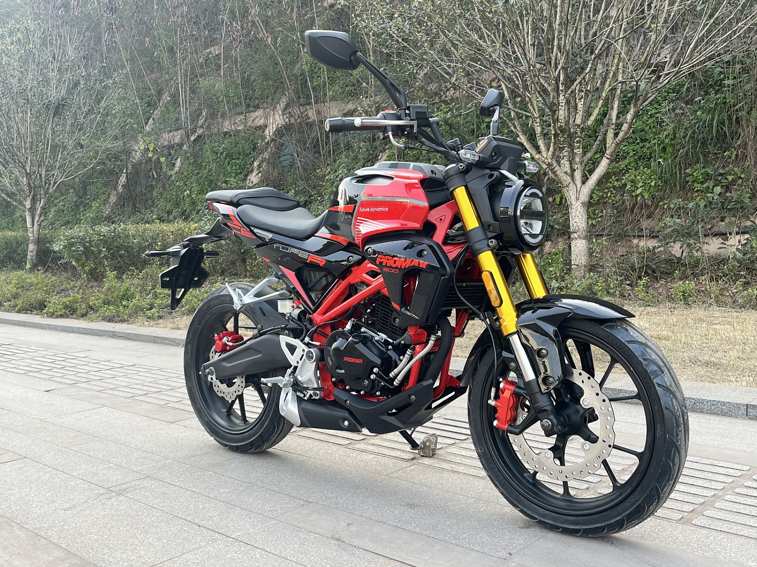 Мотоцикл PROMAX CB300RL (4V, 6G) в Балашихе