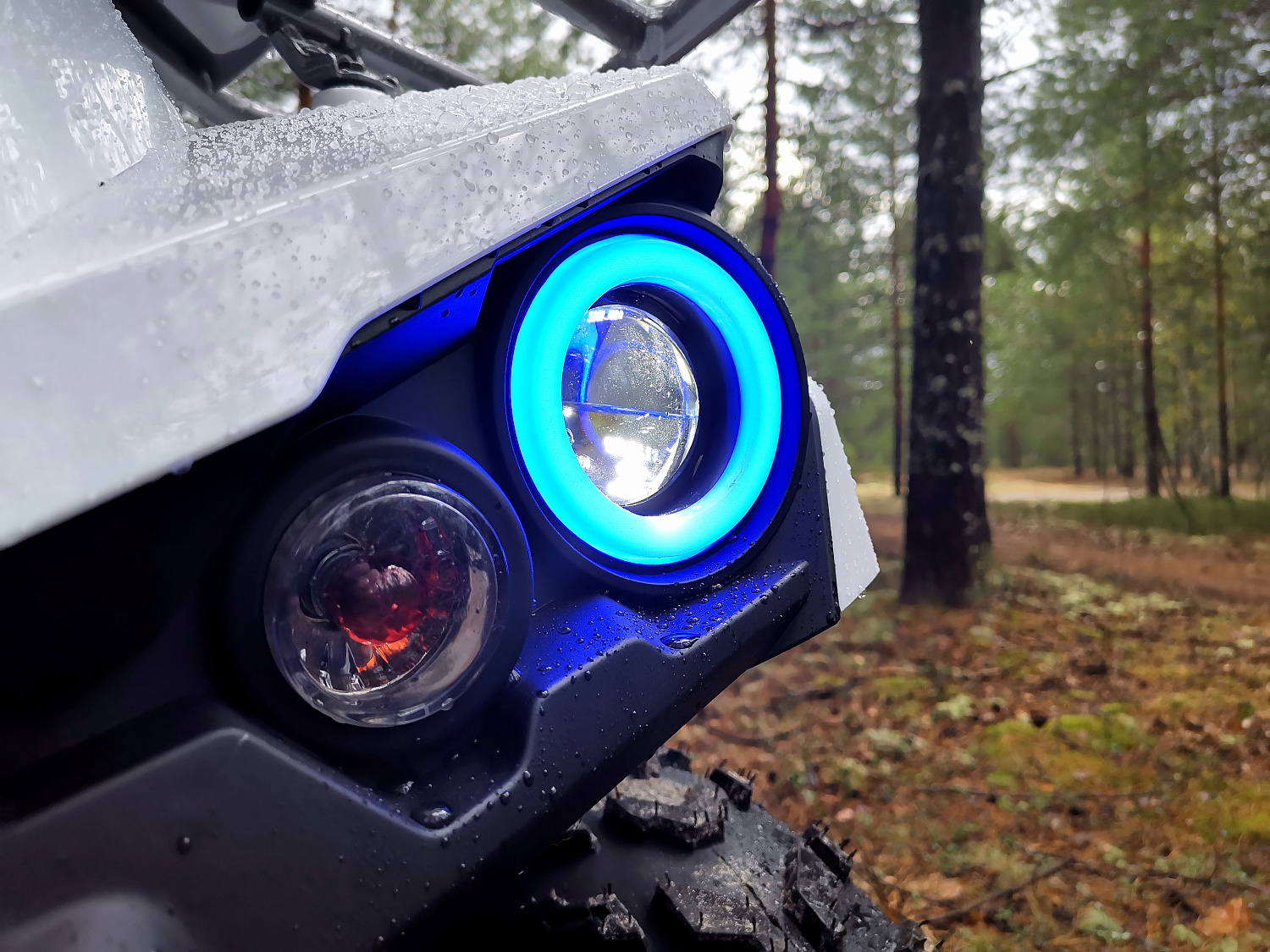 Квадроцикл PROMAX RENEGADE 280 (2025) в Балашихе