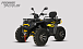 Квадроцикл PROMAX TAURUS 300 MAX-PRO LONG в Балашихе